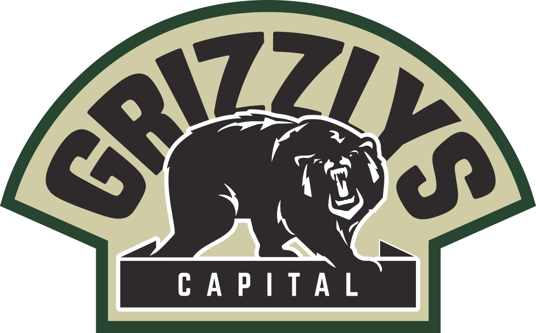 Olin-Hockey GmbH, About