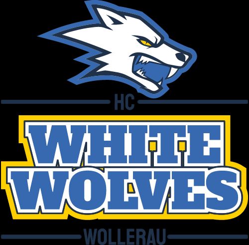 Olin-Hockey GmbH, About